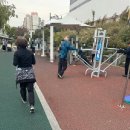 도림천 공중화장실 | 보라매공원 산책후기 클라이밍 강아지 놀이터 미니호수까지 이야 부럽다 동작구