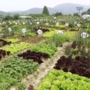 학전농장 이미지