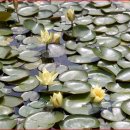 순천만여행 이미지