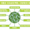 주식회사 메타센테라퓨틱스