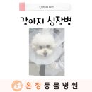 온정동물병원 이미지