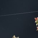 Meow 🌙 이미지