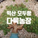 세일농장1 이미지