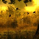 산중문답 이미지