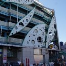 영광 | 포항 죽도시장 횟집 대게맛집 영광회대게 후기