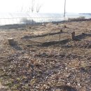 느티나무하우스 이미지