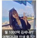 독일피엠파주센터(독일PM파주센터)