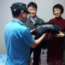 드림세탁 이미지