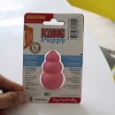 퍼피애견 이미지