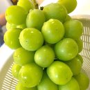 퀸마트 이미지