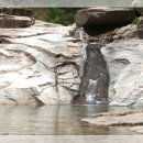 대강보건지소 이미지