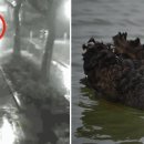 남성공원 이미지