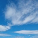 동리 농장 이미지