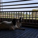 동례농장 이미지