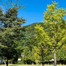 신대리야영장 이미지