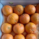 부여축협 하나로마트 이미지