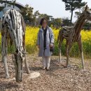 제주아이투어