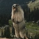 선류산장 이미지