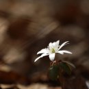 고남저수지 이미지