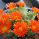 알뜰장터 이미지