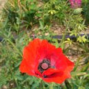 외암민속박물관 이미지