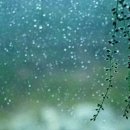 광장26호 이미지