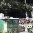 박정호농장(1농장) 이미지