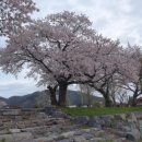 보령(주포)-100 이미지