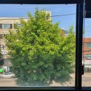 족발야시장광명소하점 이미지