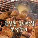 [청주 율량동 맛집] 보성갈비 돼지모듬한판 고기 퀄리티 솔직 후기