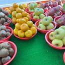 호남청과 이미지