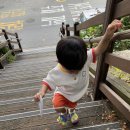 겸재작은도서관 산책로 이미지