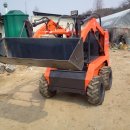 정일농장 이미지