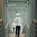 양식조리기능사 이미지