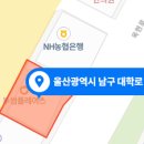 더블유화이트치과의원 이미지