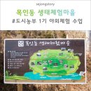 목인동 | 유기농 샌드위치 만드는 법 - 목인동 생태체험마을에서