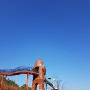 제암산 마루
