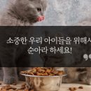 아라펫 이미지