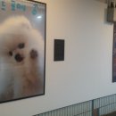 백궁지하보도 네이버블로그