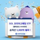 신한코리아 이미지