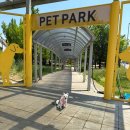 펫파크 - 서구 가정로 112 | 김포공항 펫파크 위치 후기｜강아지랑 제주 가기 전 산책하기 좋은 곳