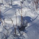 꿈꾸는농장 이미지