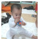 붕붕 소프트 이미지