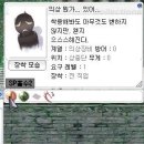 대마제 이미지