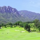 델피노숲 이미지