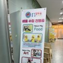 물감토마토
