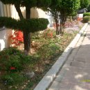 소라아파트앞 이미지