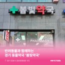 봄빛약국 이미지