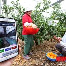 팜솔루션 이미지