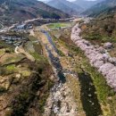 국도24호선가로수 이미지